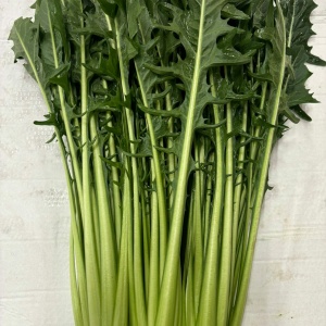 Catalogna 1Kg
