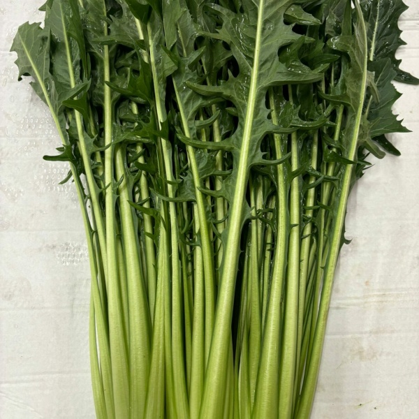 Catalogna 1Kg