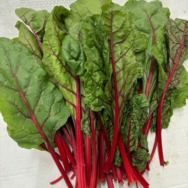 Bietola da Foglia Colorate 500g