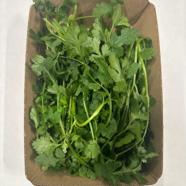 Coriandolo
