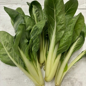 Bietola da Costa  1 kg
