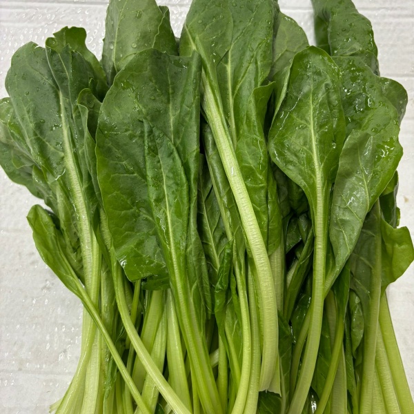 Bietola da Foglia 1Kg