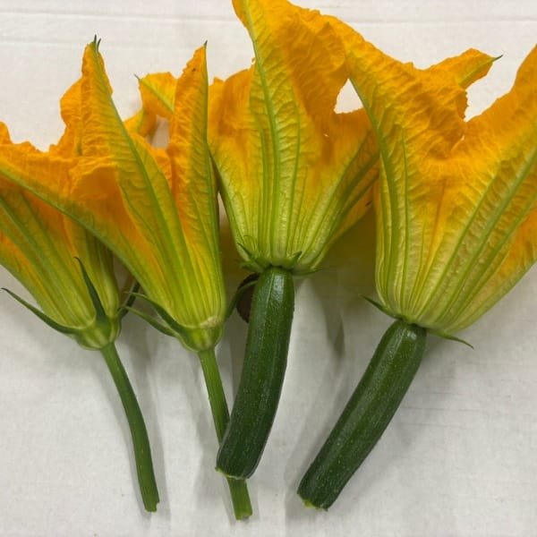 Fiori di Zucchina