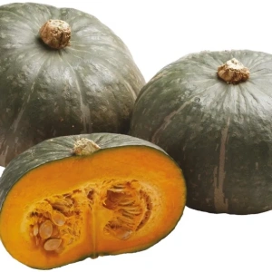 Zucca Delica